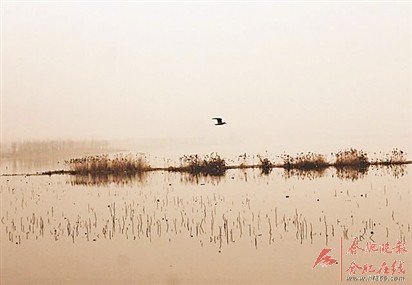 北雁湖湿地公园远景