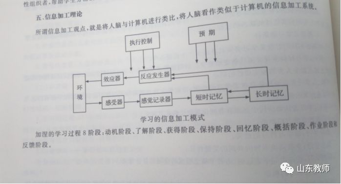 2018年5月12日泰安教师招考笔试真题及答案