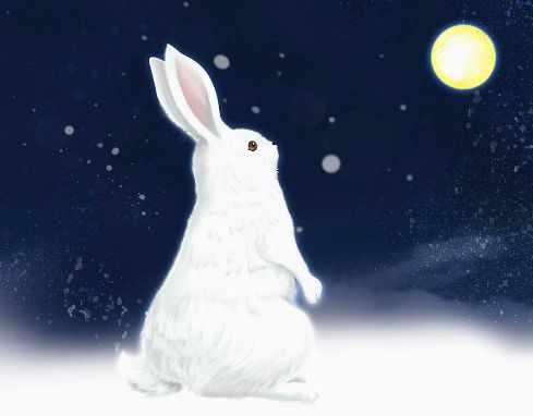 【伴读】兔子的月亮