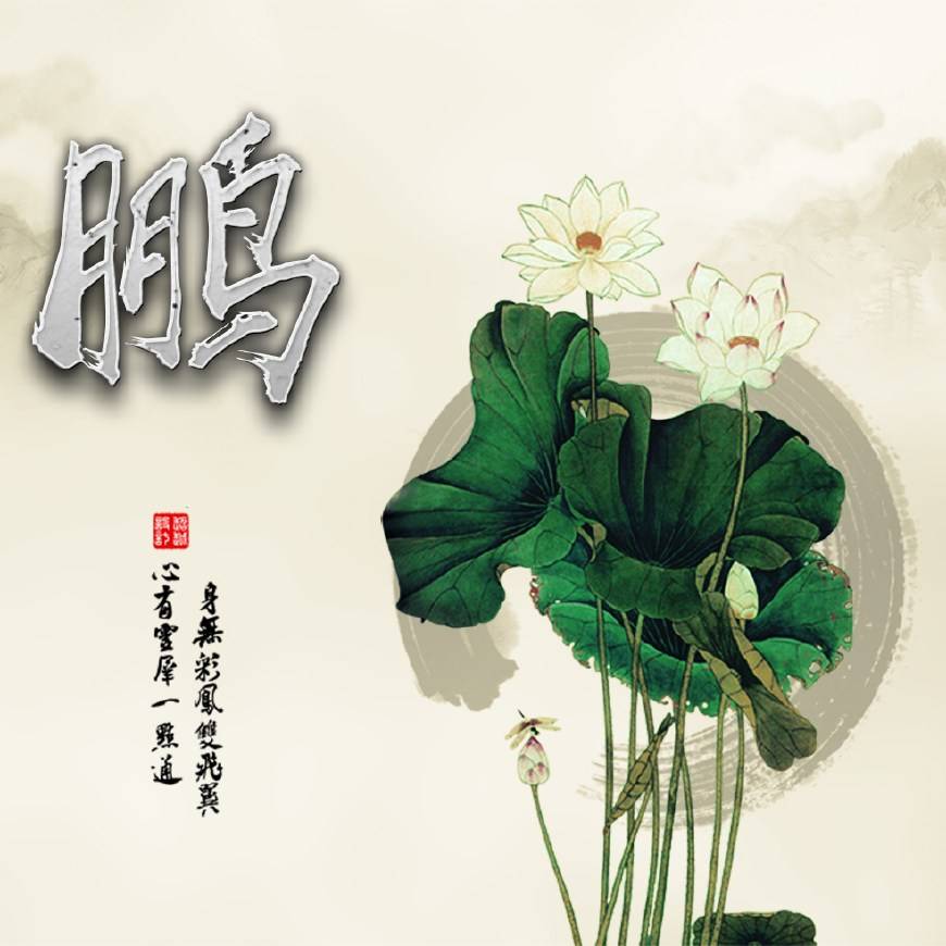 《荷花》微信头像,18张百家姓头像,锁屏壁纸,一定不要