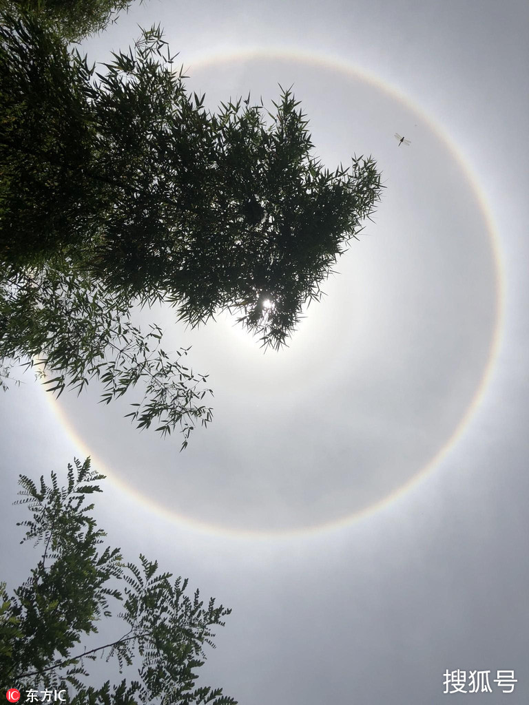 太阳光晕:重庆上空太阳笼罩一圈光晕 "日晕"当空异常漂亮