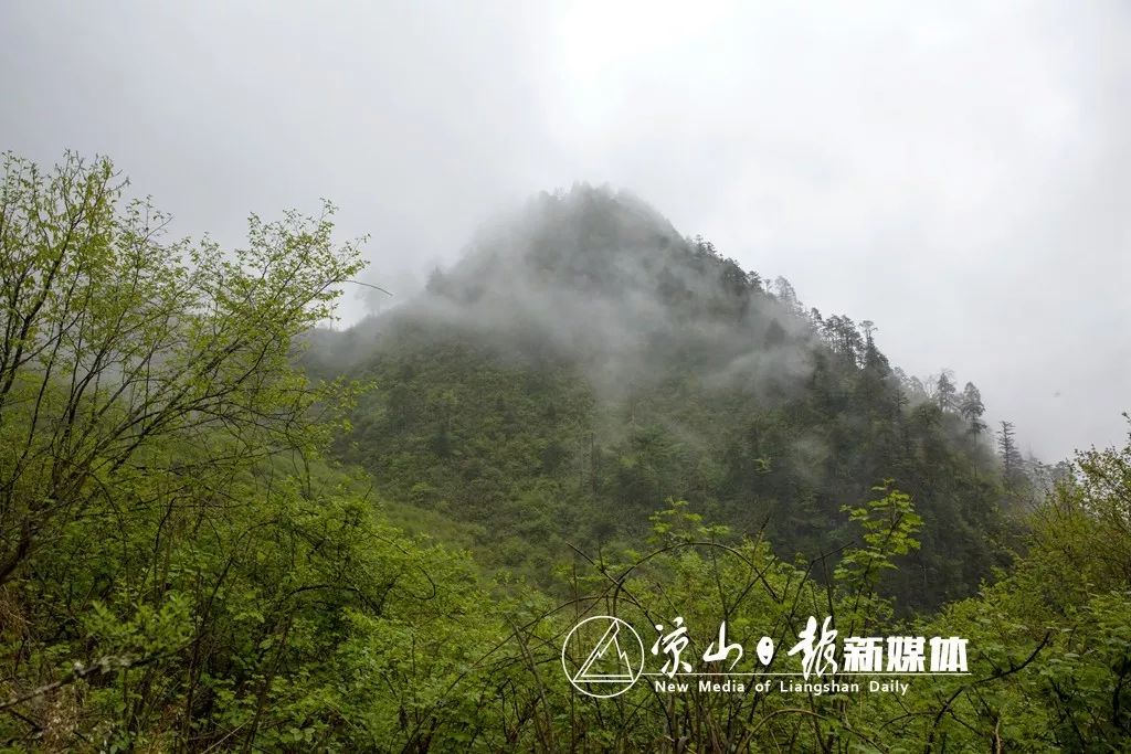 探秘凉山 | 走进甘洛德布洛莫鬼山,揭开它的神秘面纱