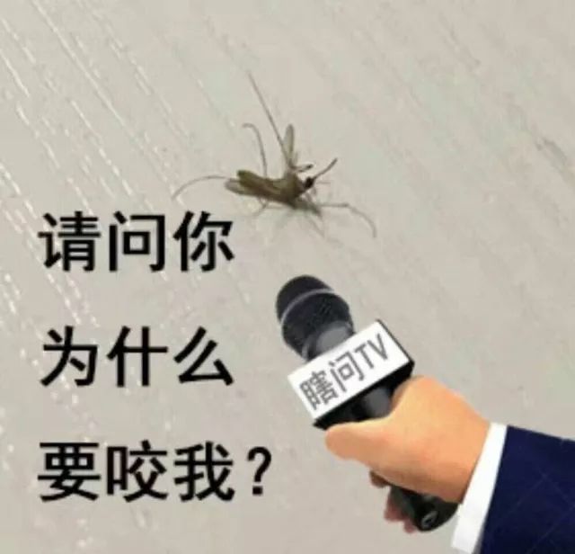 【为什么总有蚊子能叮到我?】