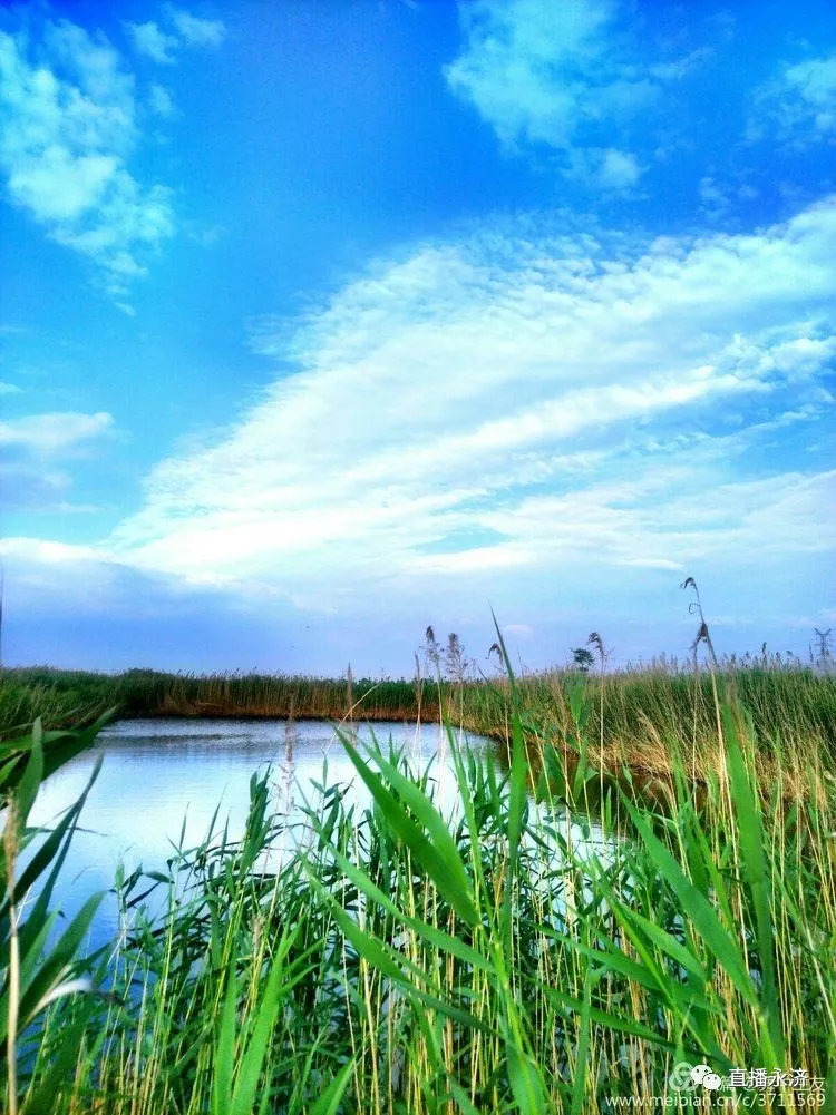 组图醉美伍姓湖永济好风光