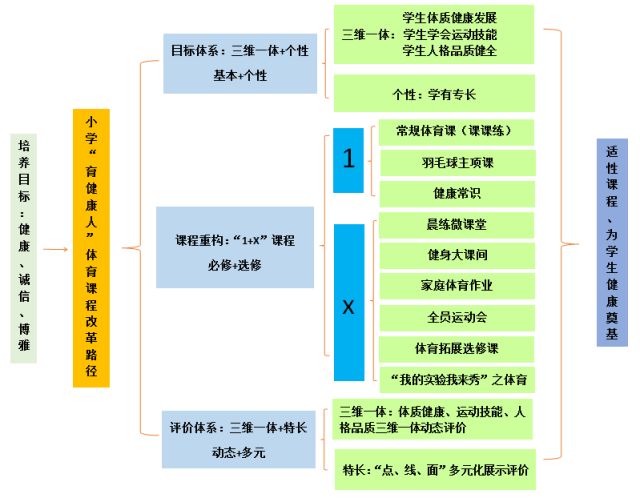 1x体育课程实施的成效与思考