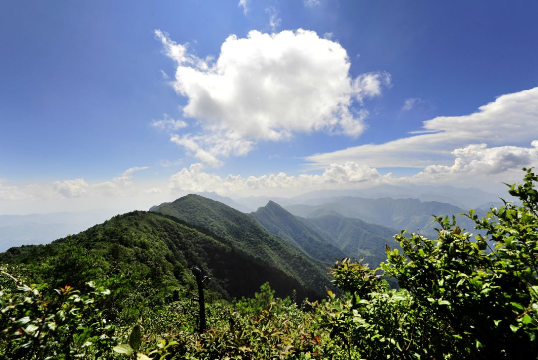 万朝山位于兴山县西部,属长江三峡西陵峡北岸,香溪河中上游.