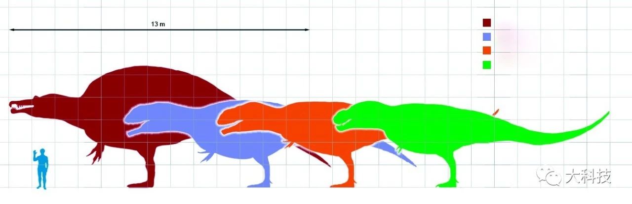 恐龙为什么长那么大
