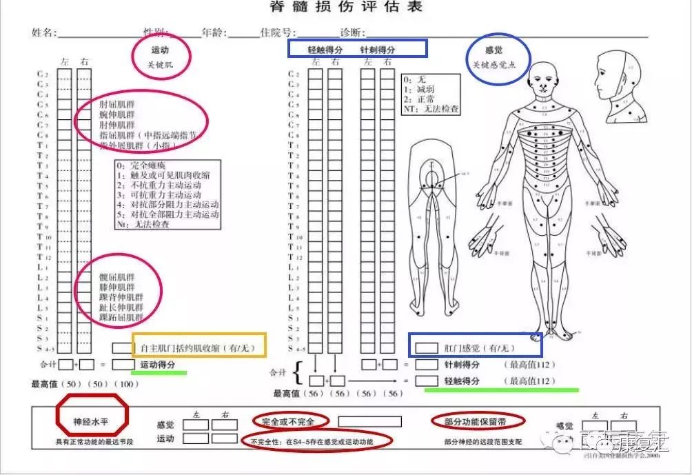 脊髓损伤从脊柱结构损伤类型到康复评定说明及康复治疗