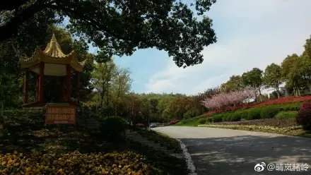 芜湖四褐山,一座城市的记忆