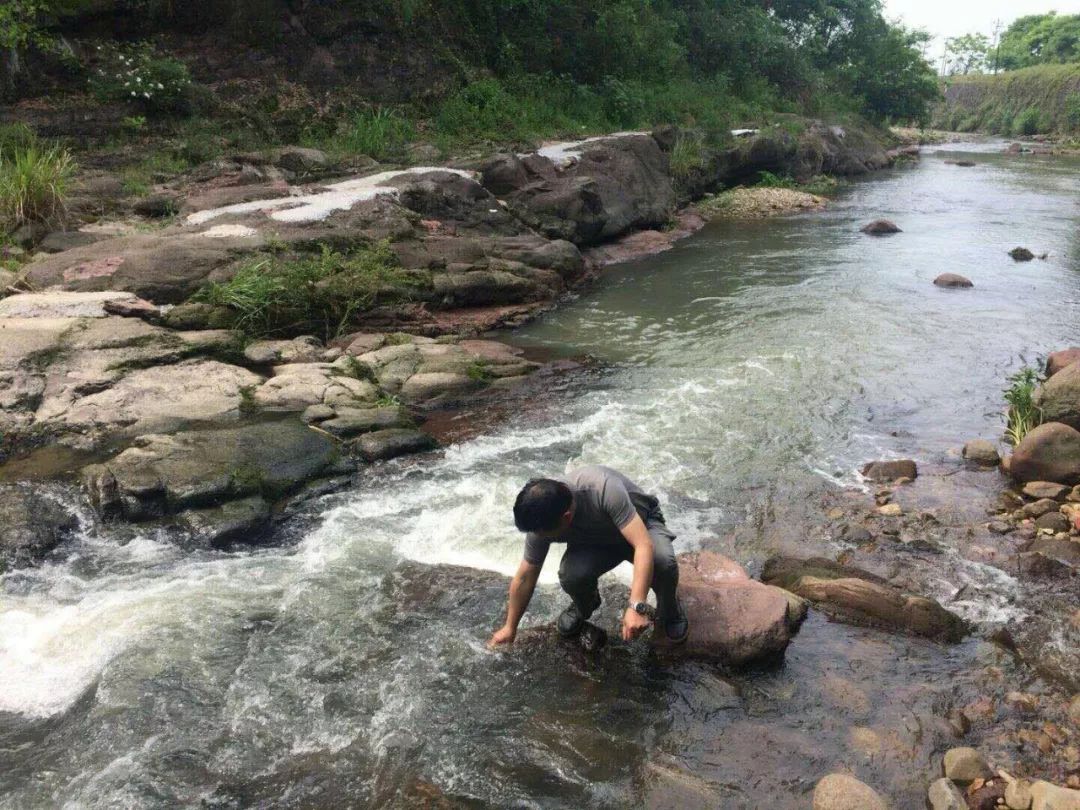 厉害！水质还可以“飞行”检查这么做是为了让数欧宝平台据更加客观准确(图1)