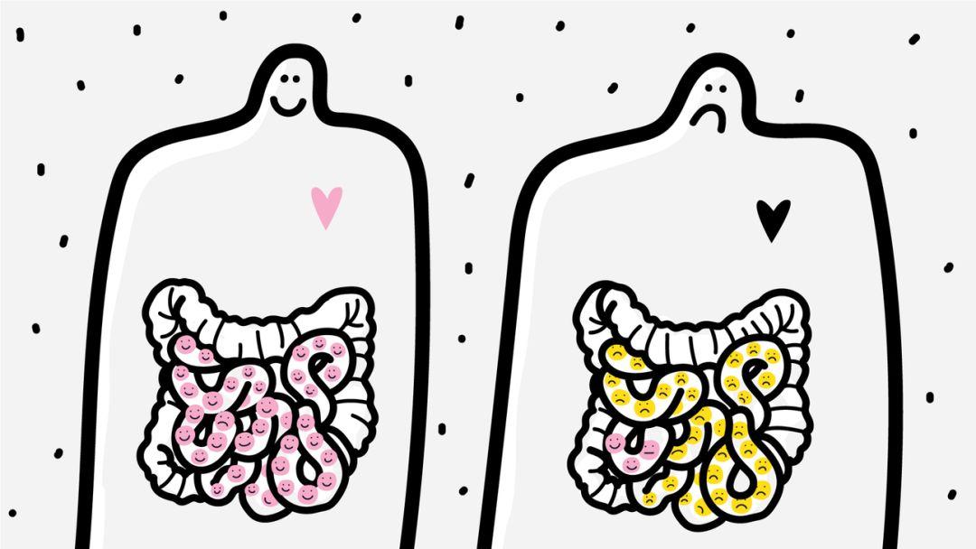 普唯尔生命科技"益心菌,肠道菌群与情感障碍