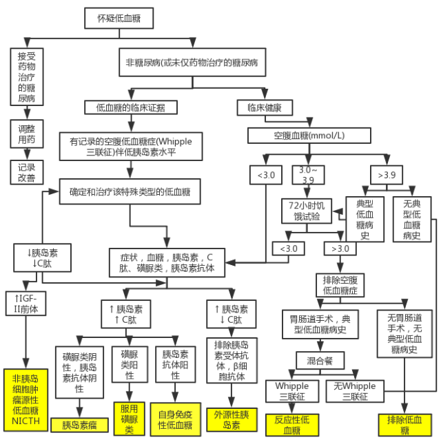 总结:低血糖的诊断流程