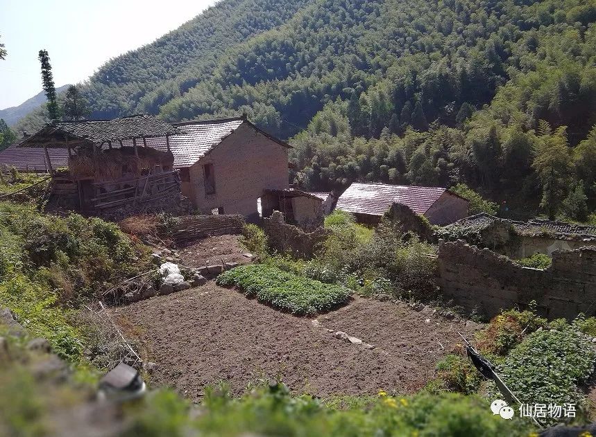 仙居古村落:周坑村