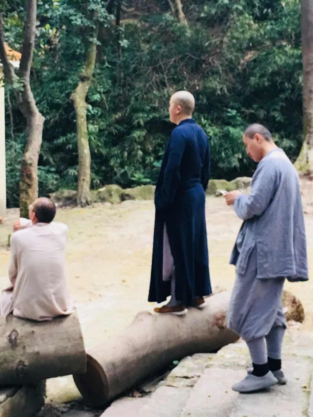 茶庵寺公园江门市郊处一著名的名胜古迹