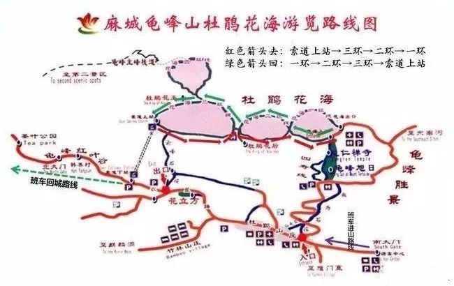 8路公交直达大别山旅游集散中心——在集散中心换乘转运车前往龟峰山