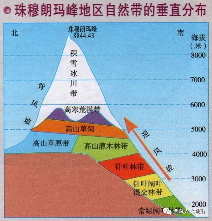 珠穆朗玛有六个垂直植被带