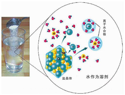 水分子使氯化钠溶解形成离子水合物.江颖供图