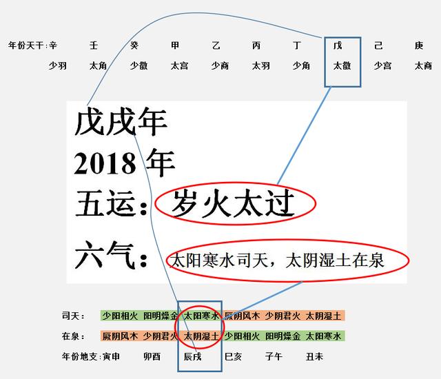 排排寒湿的原理是什么_湿疣是什么病图片