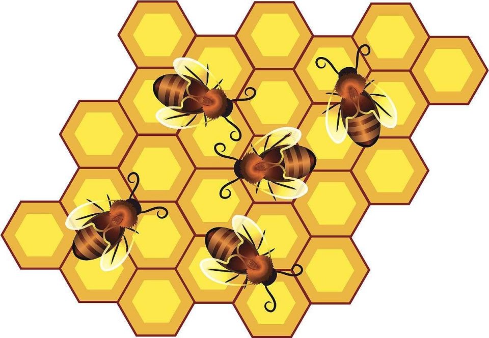 数学学霸小蜜蜂:用最少的"钱",打造最美的家