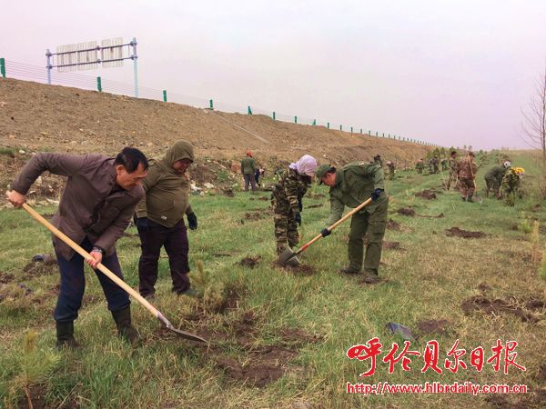 植树造林