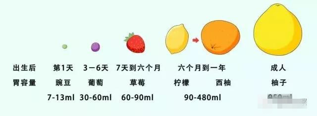 宝宝吃得越多越好?小心撑坏了宝宝的胃