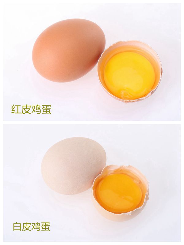 一文读懂土鸡蛋和普通鸡蛋营养价值的区别