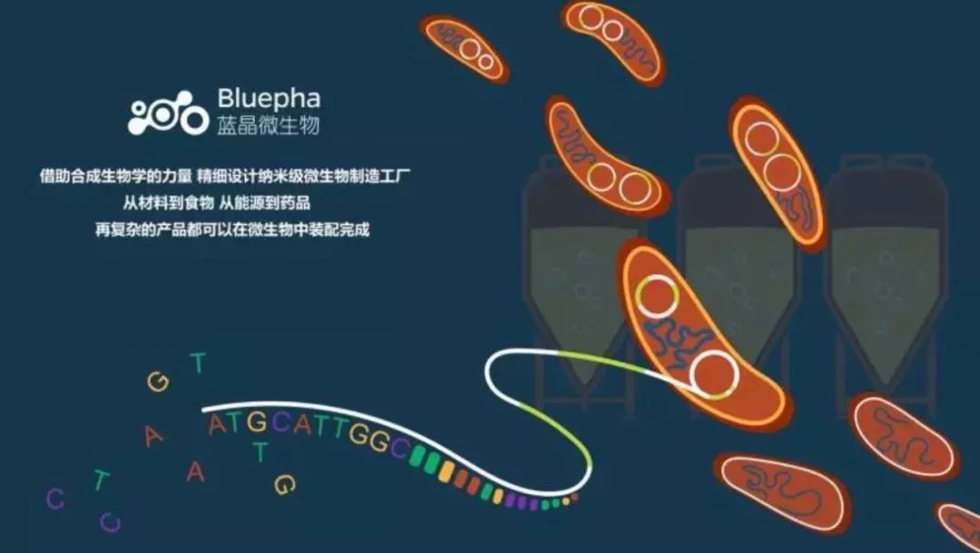 bluepha蓝晶微生物完成prea轮融资天使投资方峰瑞资本继续跟进峰瑞