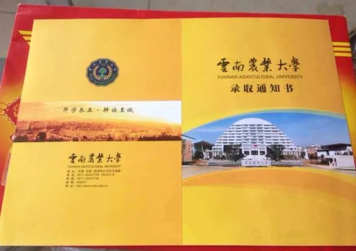 求婚成功云南农业大学不说再见