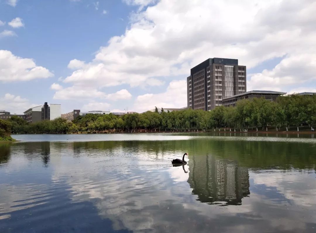 云南农业大学,不说再见!