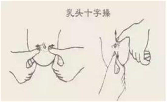 3.乳头过小