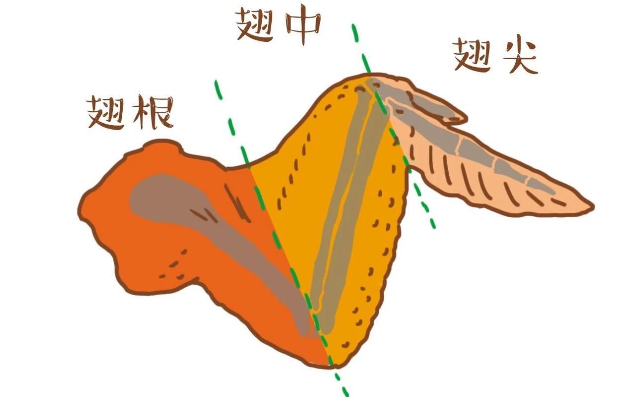 吃一口就上瘾的煎鸡翅,解馋又健康