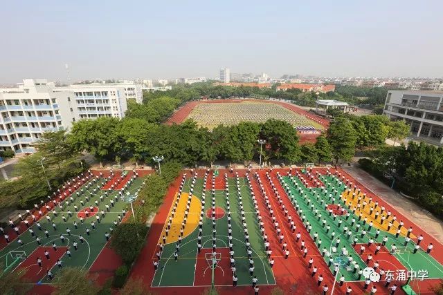 教育 正文  广州市南沙区东涌镇 东涌中学今年设不设特色课程实验班?