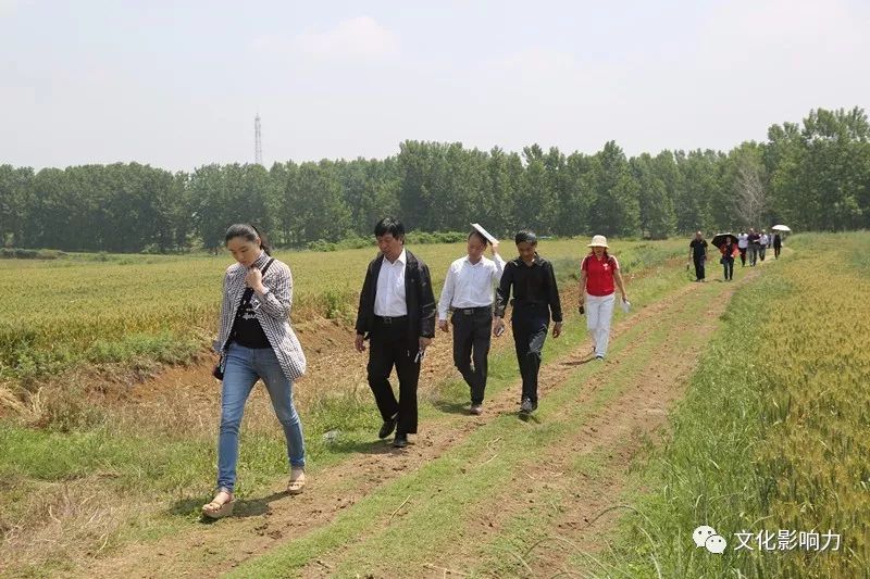 七言登唐河县湖阳镇隆山