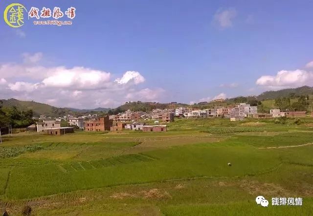 广东省信宜市钱排镇云开村位于云开山脉中段核心地带,是一个高山小