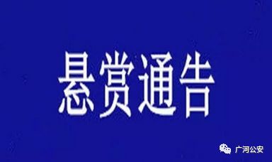 广河县人口_广河县:凝聚合力稳步提升脱贫质量