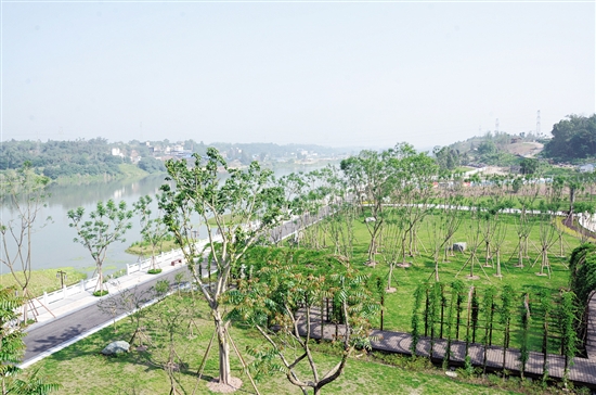 花萼湿地公园俯瞰图5月14日清晨,微风轻拂,太阳刚冒出头,家住翡翠国际