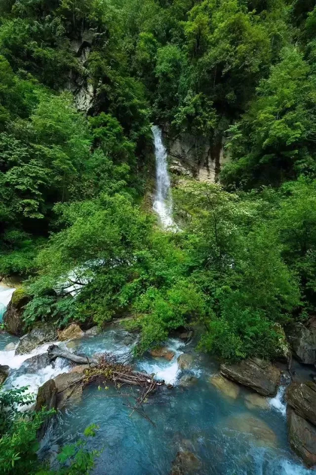 雅安二郎山喇叭河位于四川雅安地区天全县西部,二郎山东麓,邛崃山脉南