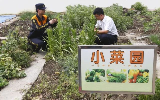 宜昌车务段:"绿色"小菜园 舒心铁路人