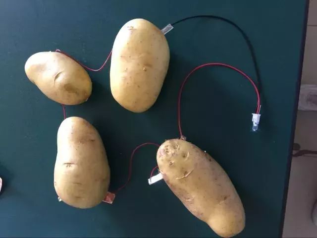 【创未来】济南泉星小学开展超级土豆"变变变"系列活动