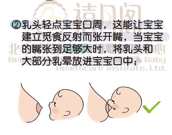 母乳喂养:正确的含接姿势