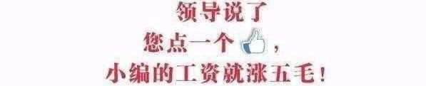 怎么看以前的外卖记录