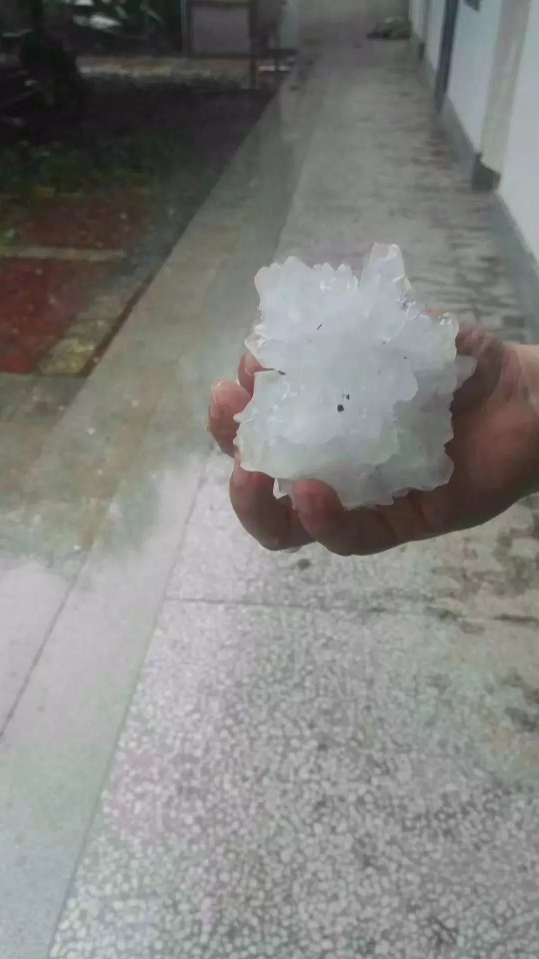 大的冰雹真是让人措手不及这说变就变的天气,最大的冰雹有拳头大小