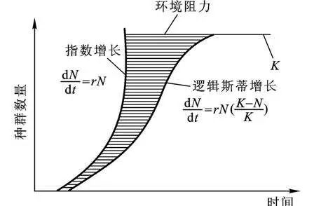 巫术遵循什么原理_等什么君(2)