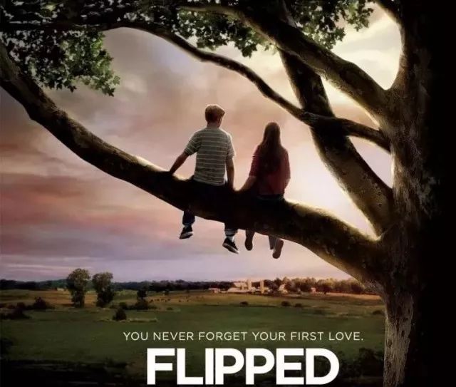 flipped(怦然心动)