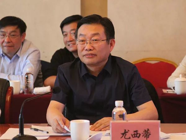 在集中汇报会上,陕煤集团党委副书记,董事尤西蒂就榆林合力团产业扶贫