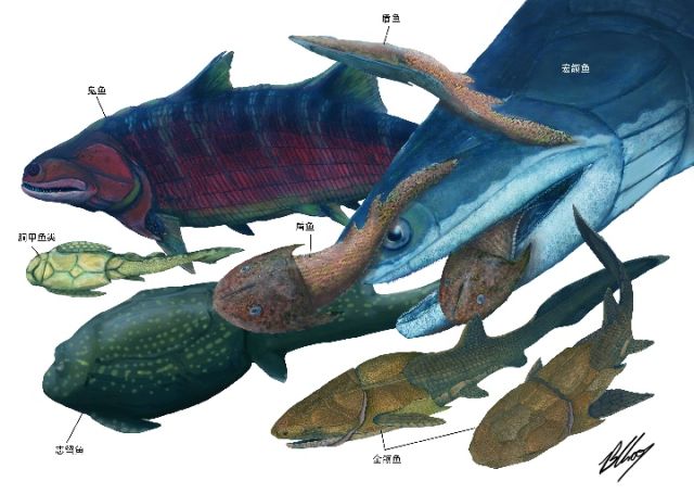 古生物学家:人类的"鱼祖先"可能起源于云南曲靖