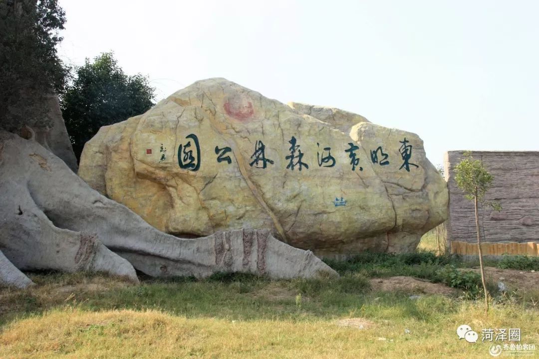 廊道建设,加强对东阿黄河森林公园,冠县马颊河林场, 东明黄河森林公园