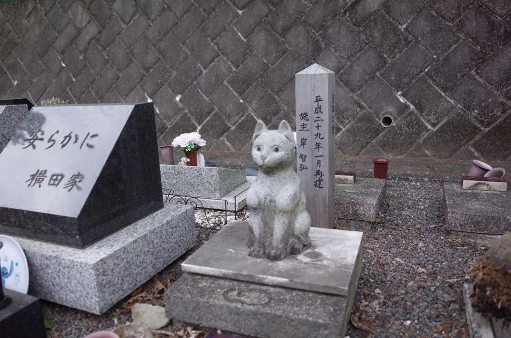 日本犬猫墓地,机器狗葬礼,我们在这之中看到了爱的无数种可能性.