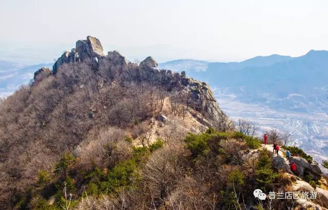 【区县旅游】普兰店的五月 初夏花缤纷