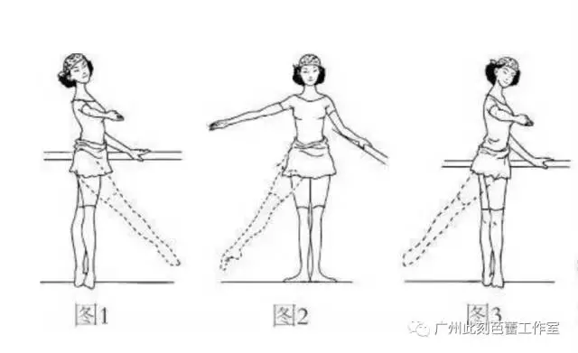 成人芭蕾丨这些芭蕾动作术语,你认得几个?
